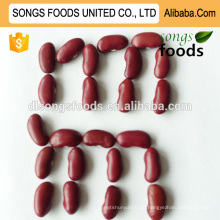 Exporter red kidney beans company